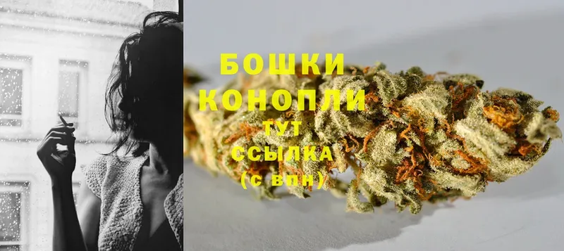 darknet телеграм  Новороссийск  МАРИХУАНА SATIVA & INDICA  omg ТОР 